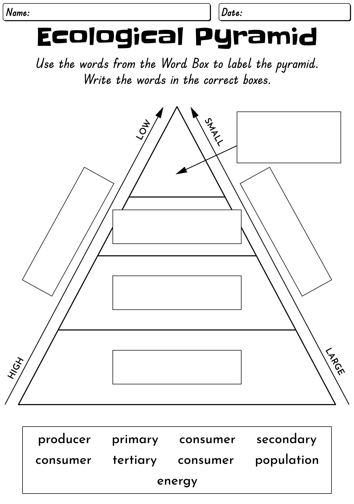 5th Grade Free Printable Ecosystem Worksheets