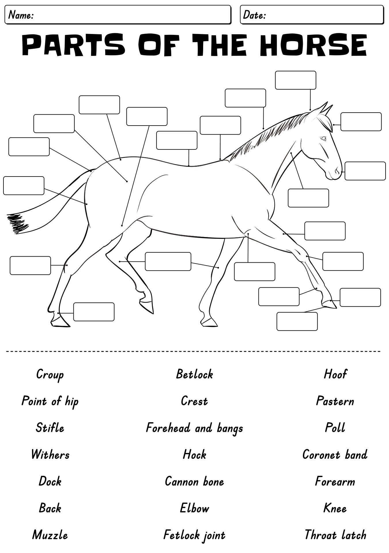 Free Printable Horse Worksheets