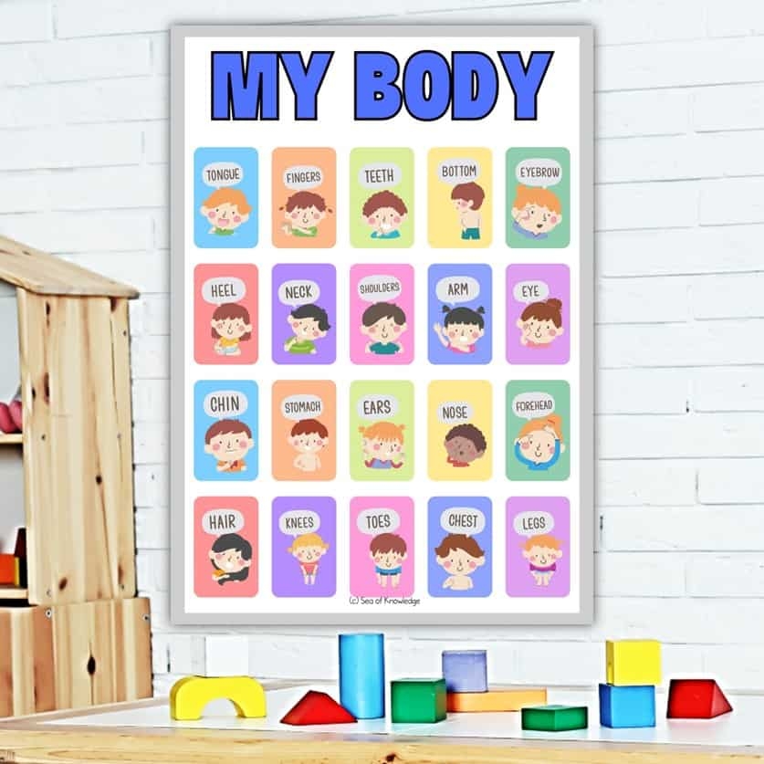 15 Fun Body Parts Activities For Preschoolers Including Labeling Posters 