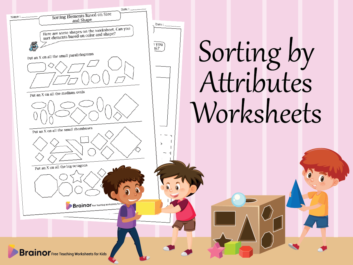 Free Printable Attribute Worksheets For Kindergarten