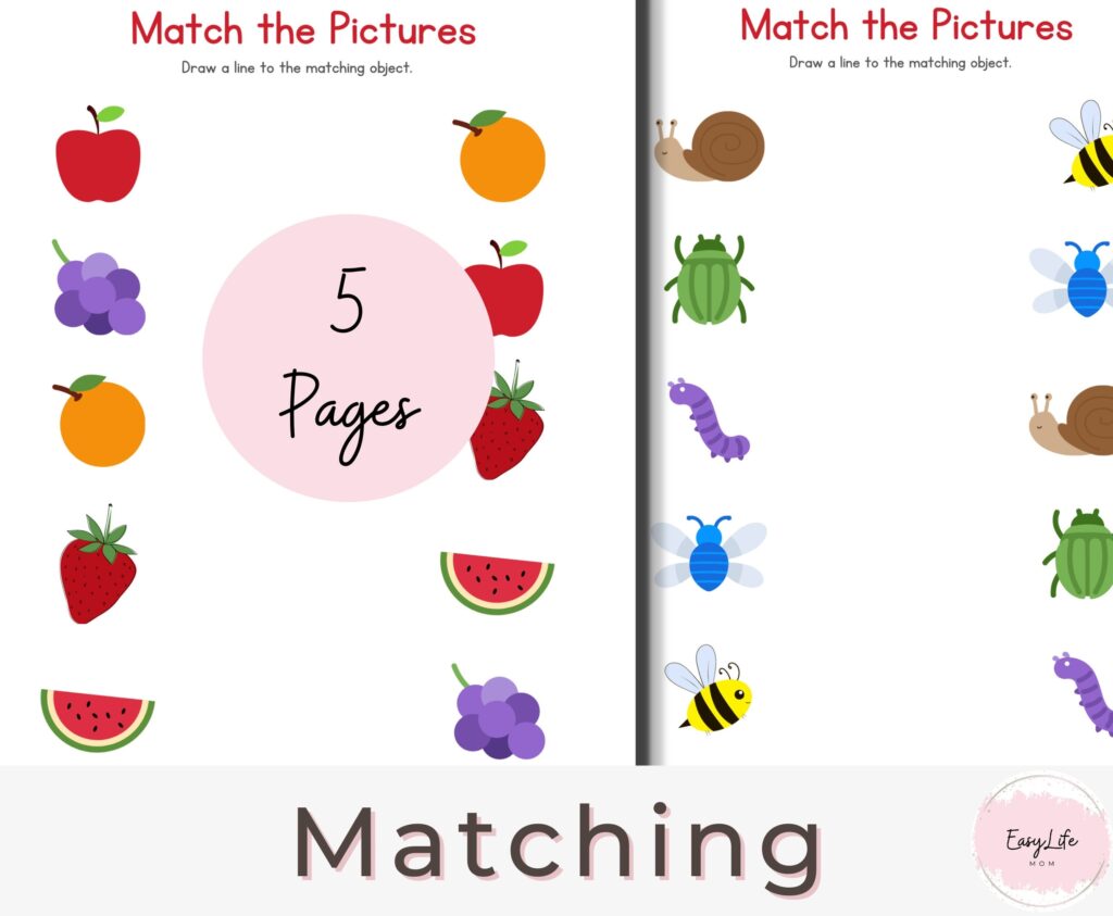 Vpk Topics Free Printable Vpk Worksheets - Printable Worksheets