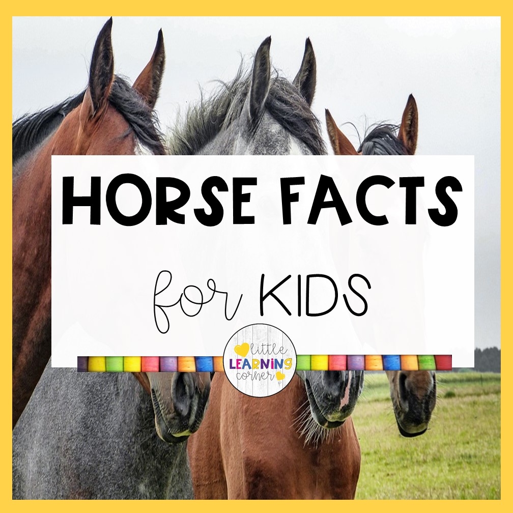 Interesting Horse Facts Free Printable Worksheet