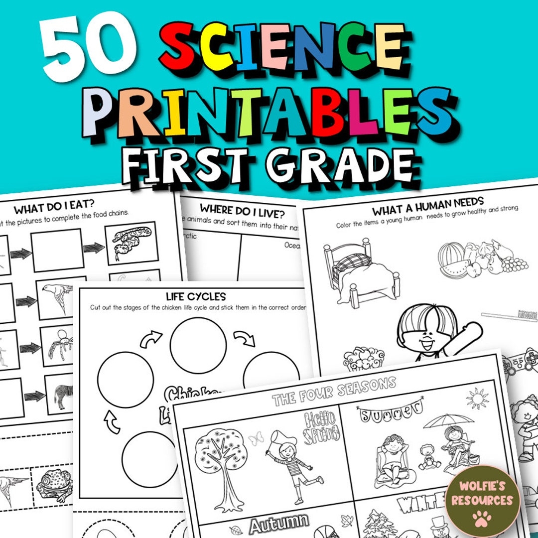50 Science Printable Worksheets For First Grade And Homeschool Etsy