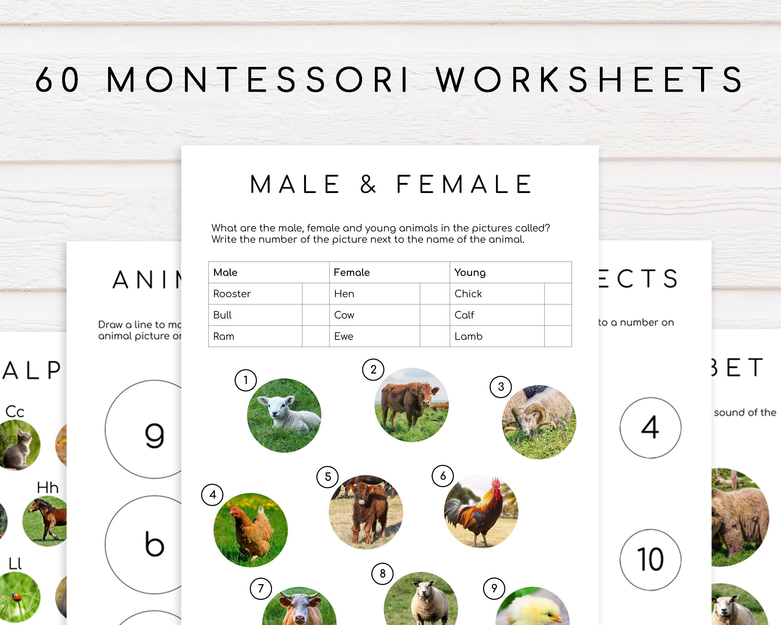 60 Montessori Worksheets Ages 3 6 Preschool Pre k And 60 Montessori Worksheets Ages 3 6 Preschool Pre k And