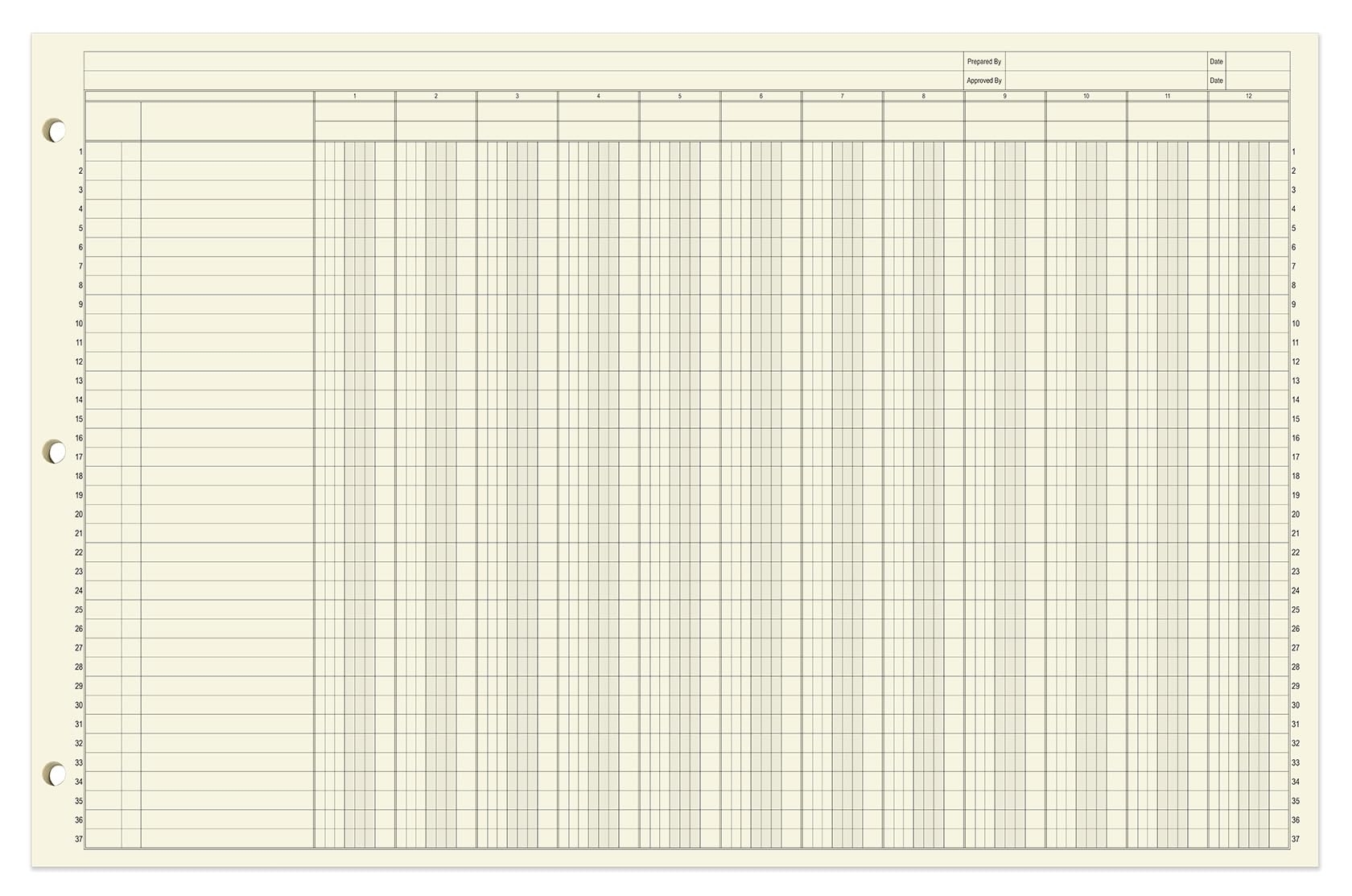 Amazon BookFactory Ledger Pad Large 12 Column Accounting 