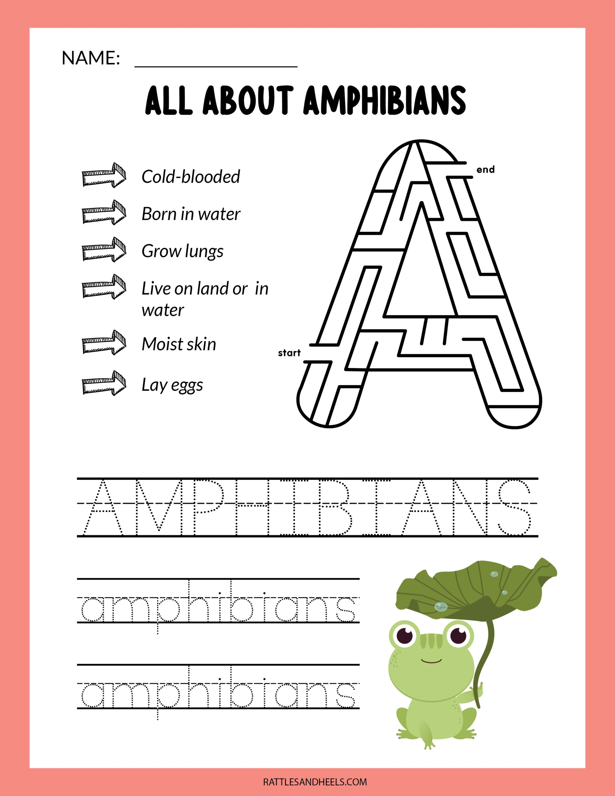 Amphibians Worksheets For Kids Free Printables Adanna Dill Amphibians Worksheets For Kids Free Printables Adanna Dill