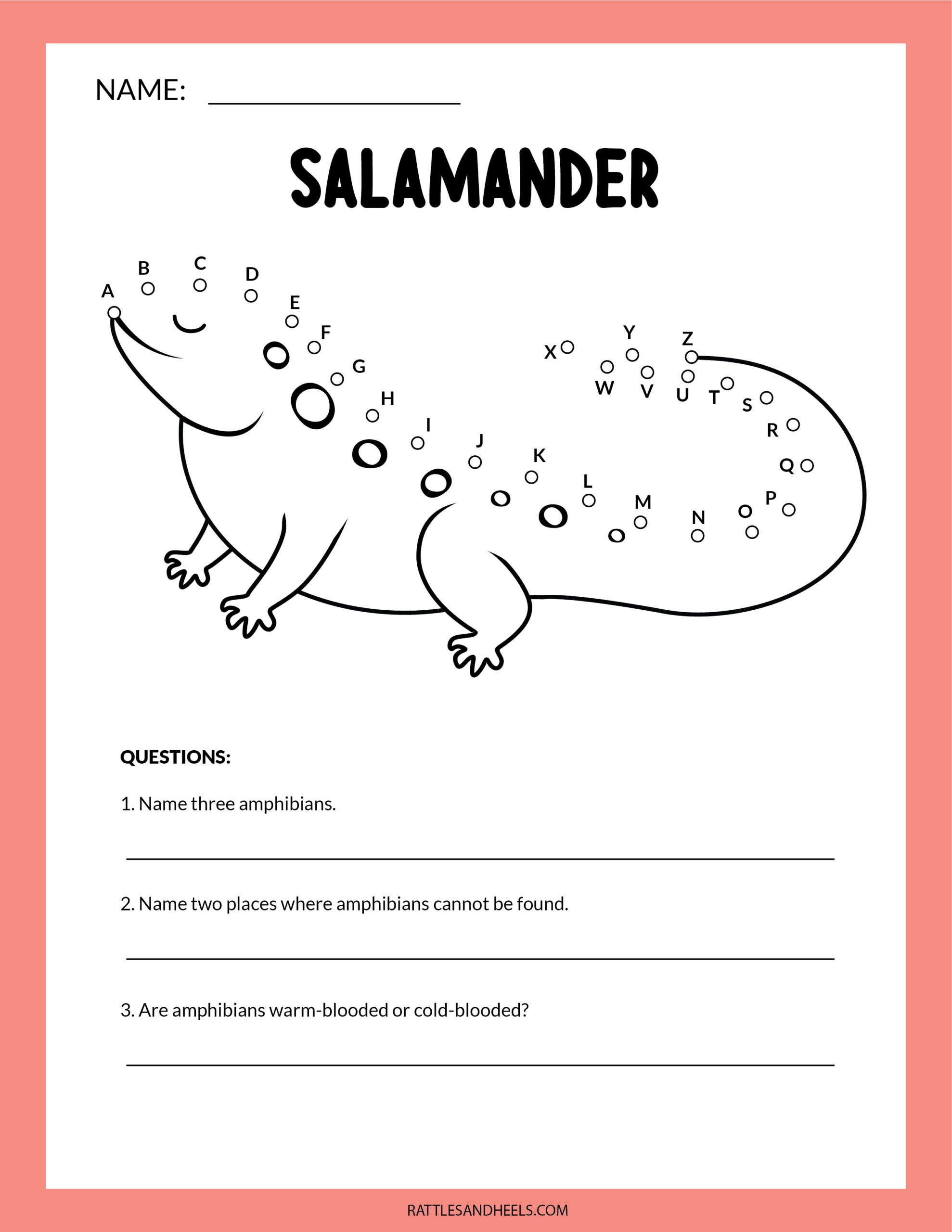 Amphibians Worksheets For Kids Free Printables Adanna Dill Amphibians Worksheets For Kids Free Printables Adanna Dill