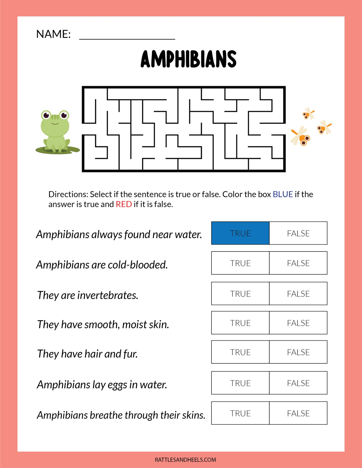 Amphibians Worksheets For Kids Free Printables Adanna Dill Amphibians Worksheets For Kids Free Printables Adanna Dill