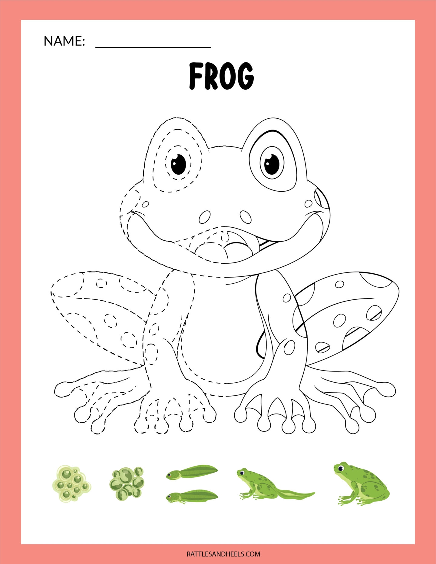 Amphibians Worksheets For Kids Free Printables Adanna Dill Amphibians Worksheets For Kids Free Printables Adanna Dill