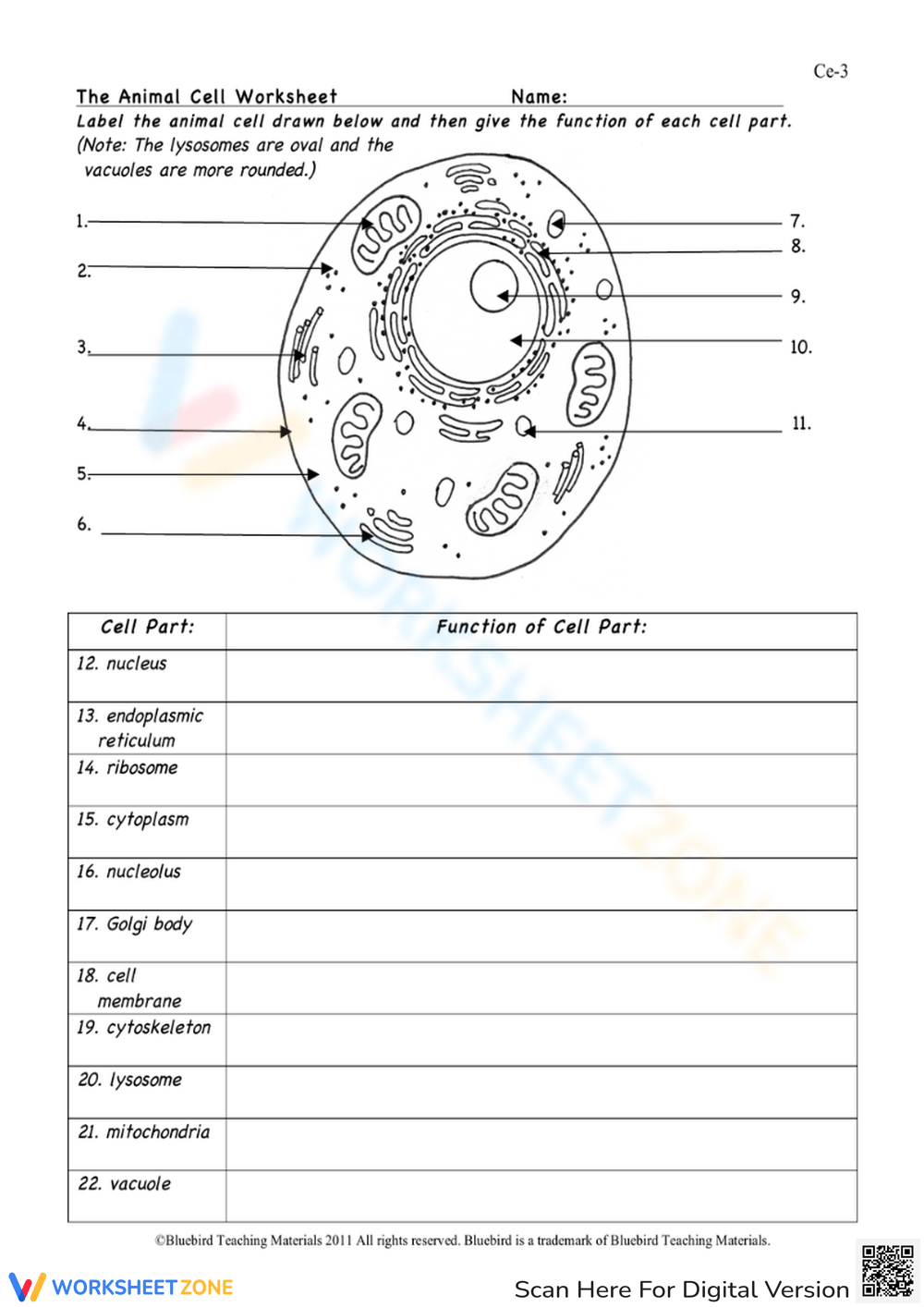 Animal Cell Worksheets 2025