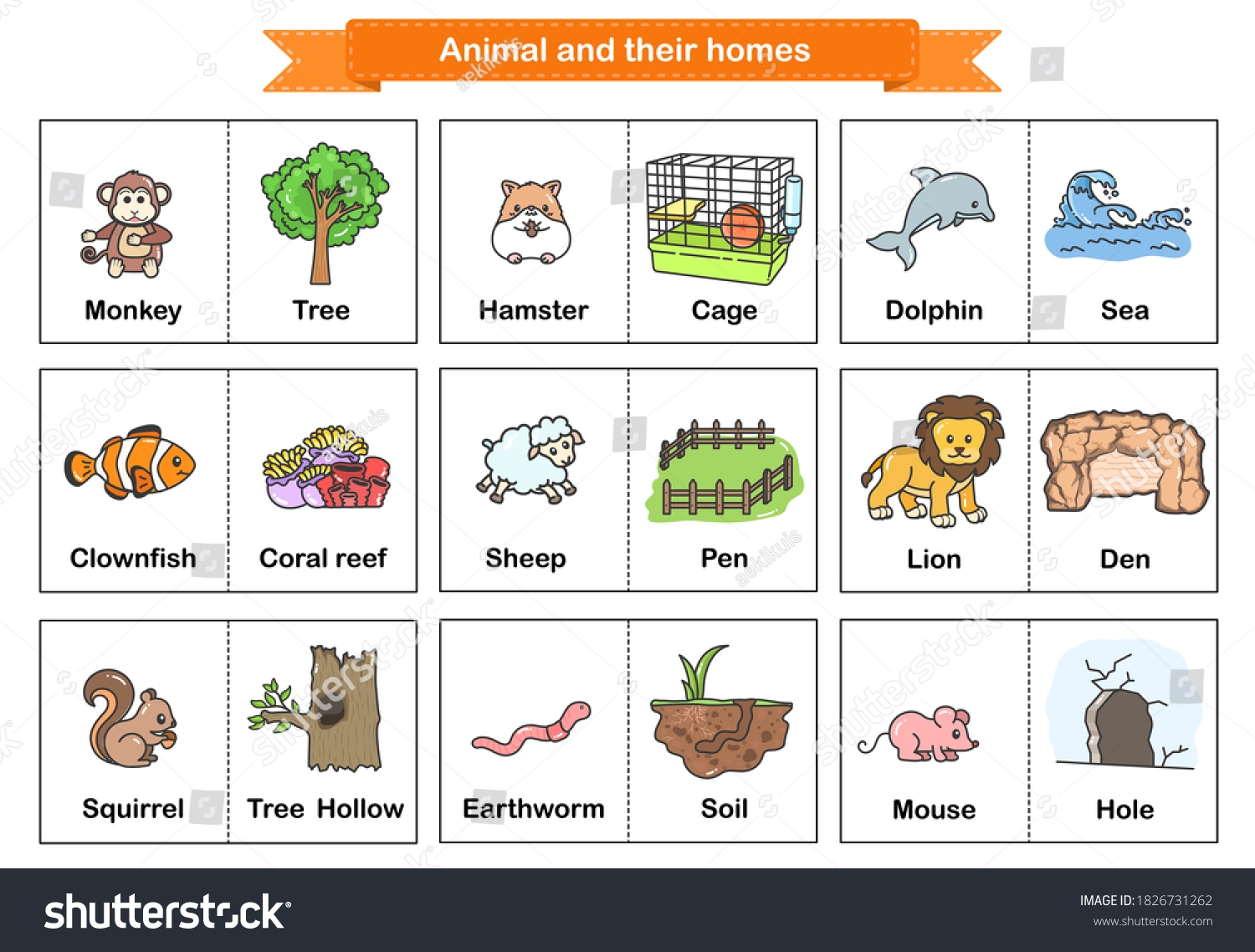 Animal Their Homes Flash Cards Printable Stock Vector Royalty 