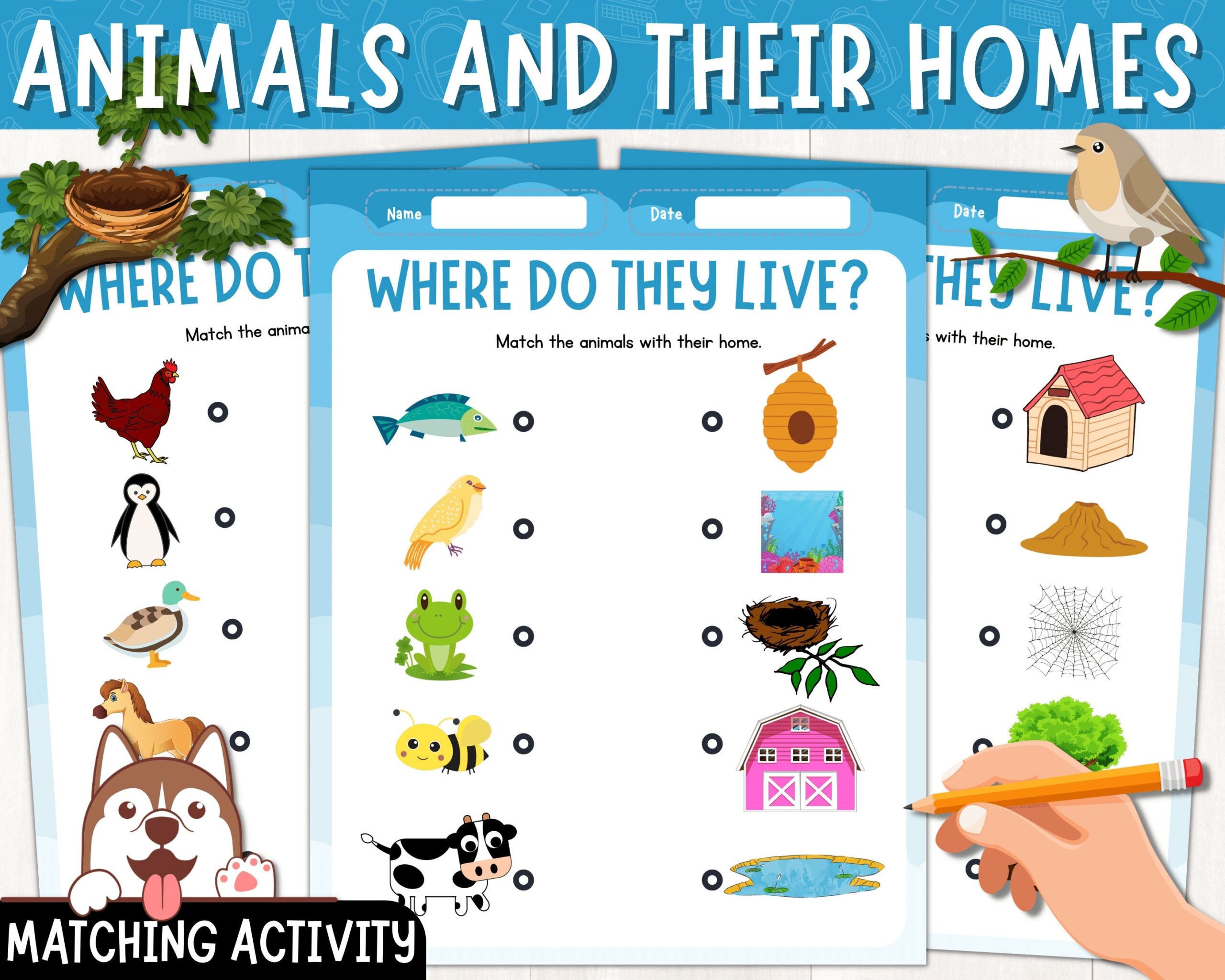 Animals And Their Homes Matching Activity Animals Printable 