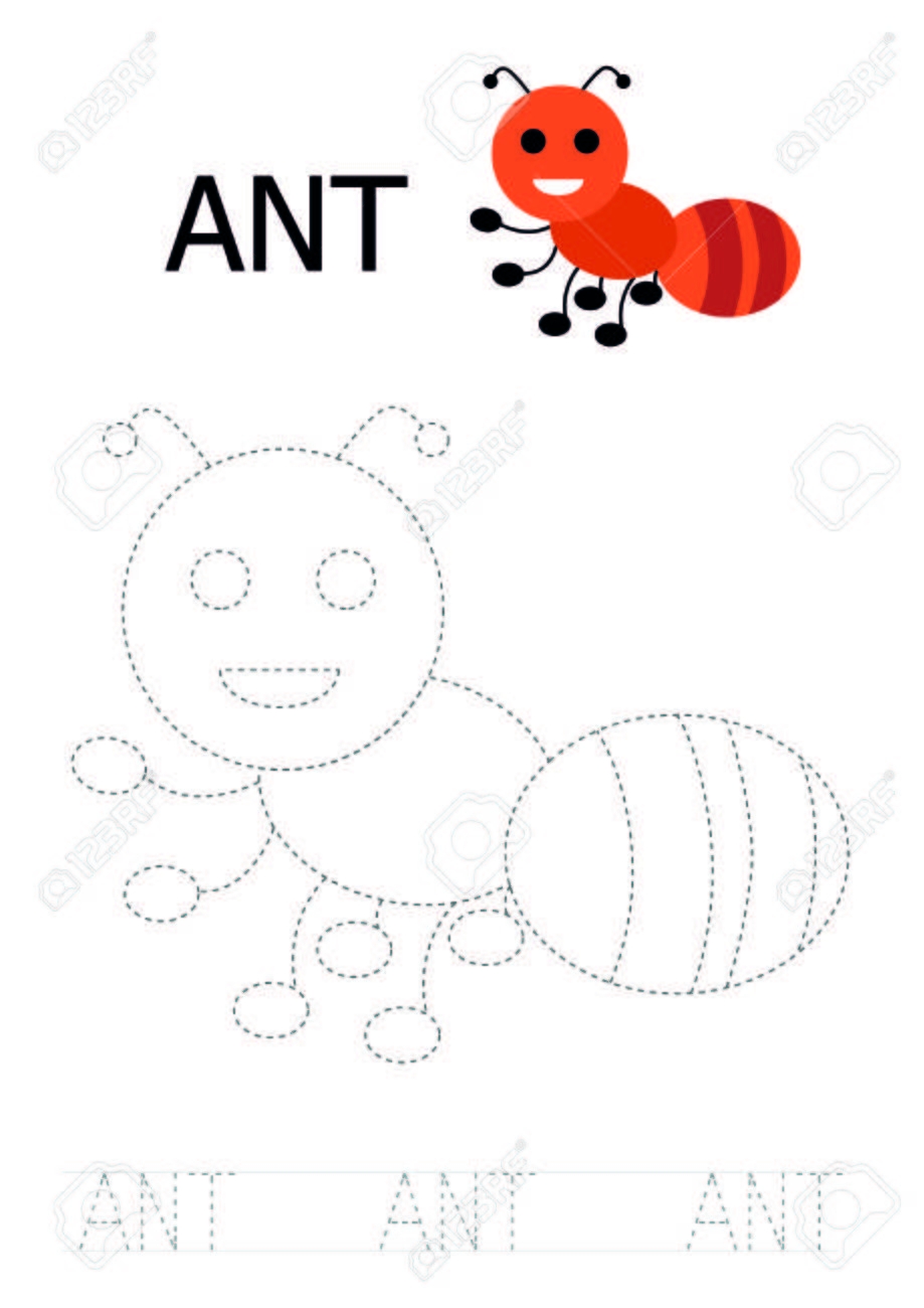 Free Printable Ant Worksheets