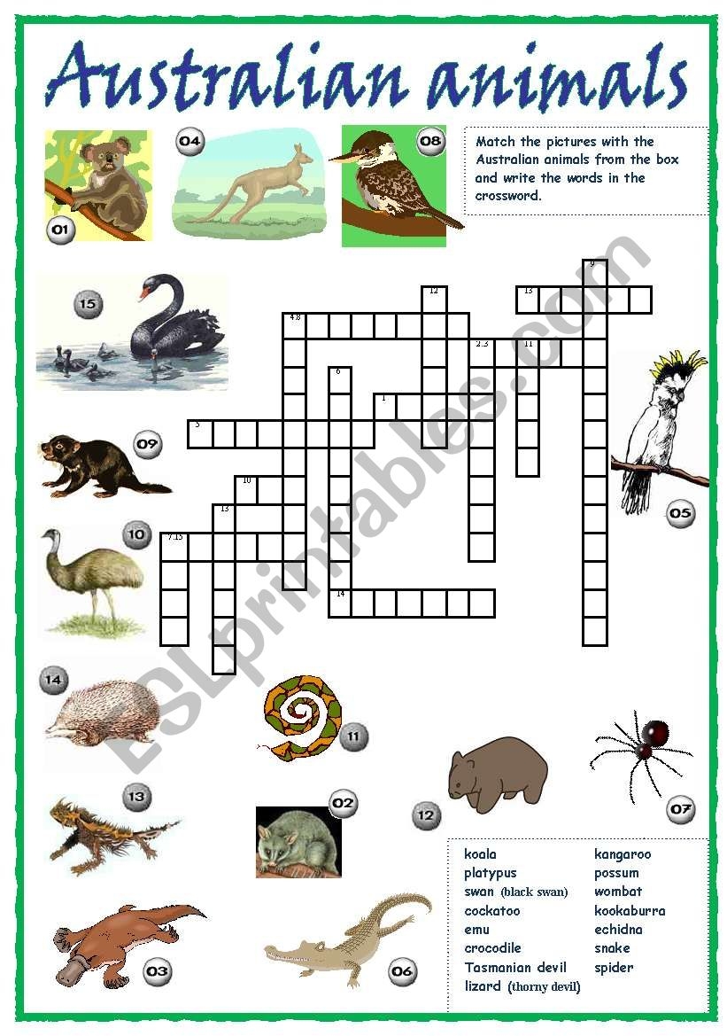 Australian Animals Crossword ESL Worksheet By Saraden Australian Animals Crossword ESL Worksheet By Saraden