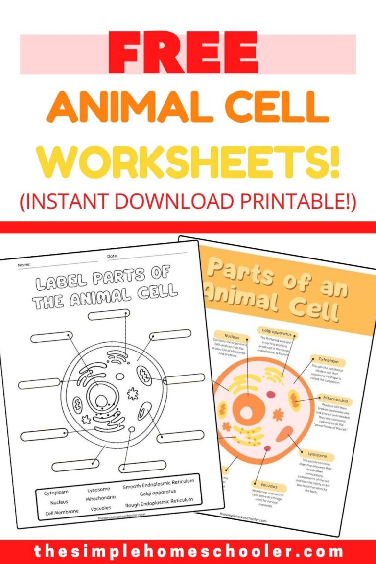 Best Free Animal Cell Worksheets With Answers U0026 Easy Print The Simple Homeschooler