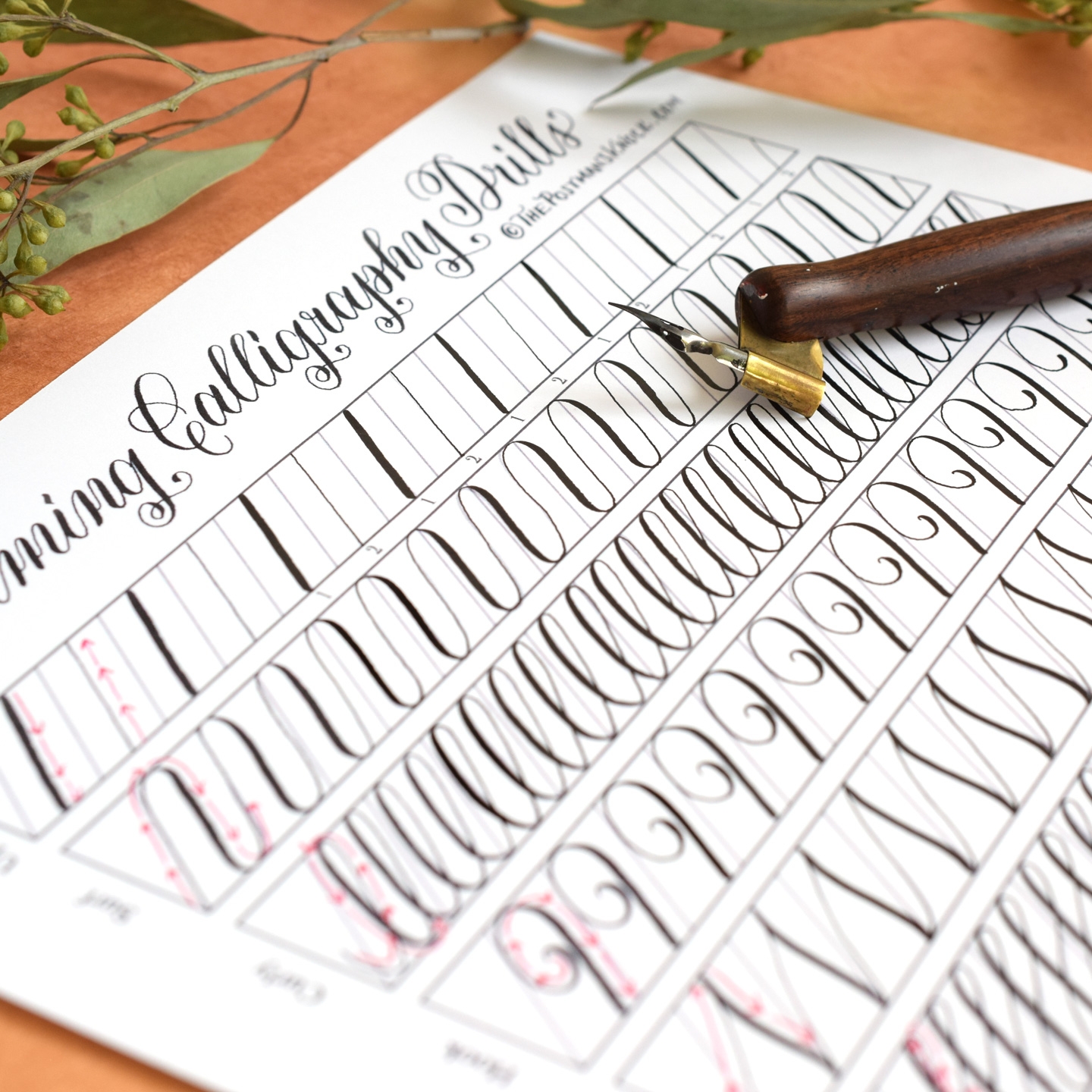 Free Printable Calligraphy Practice Worksheets