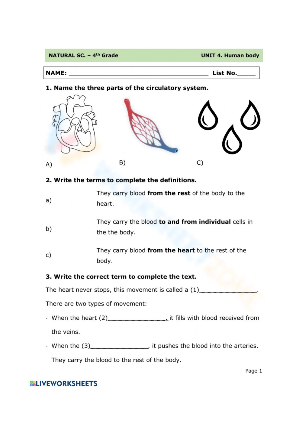 Circulatory System Worksheets 2025