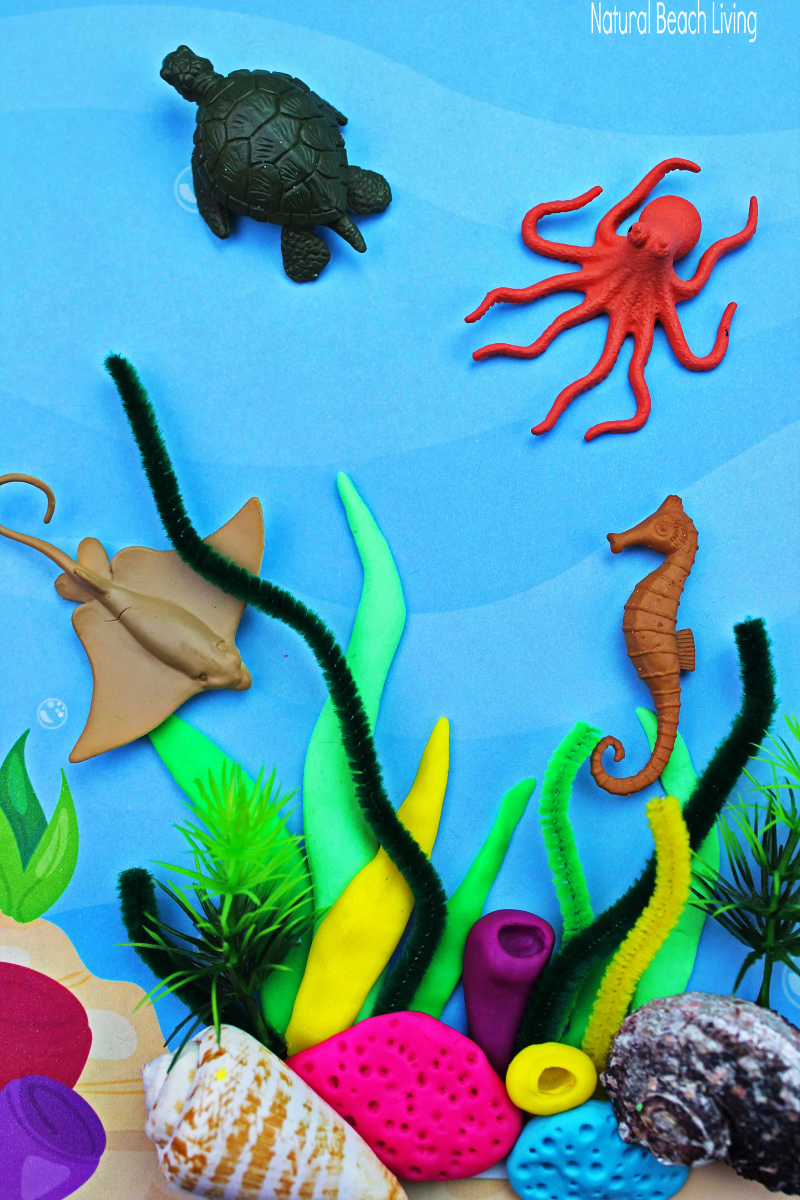 Coral Reef Activities For Preschoolers And Kindergarten Natural Beach Living