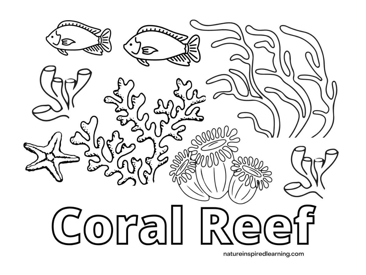 Coral Reef Coloring Pages For Kids Nature Inspired Learning Worksheets Library