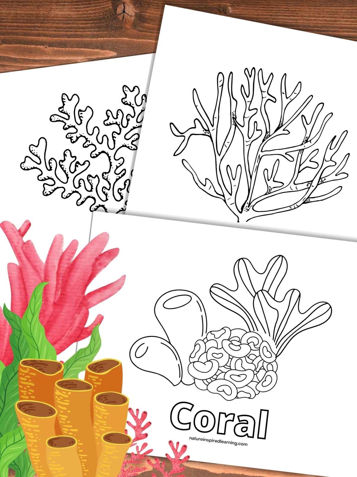 Coral Reef Coloring Pages For Kids Nature Inspired Learning