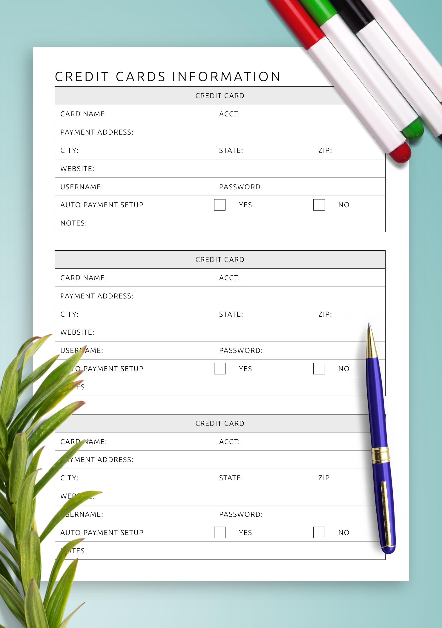Download Printable Credit Cards Information Template PDF