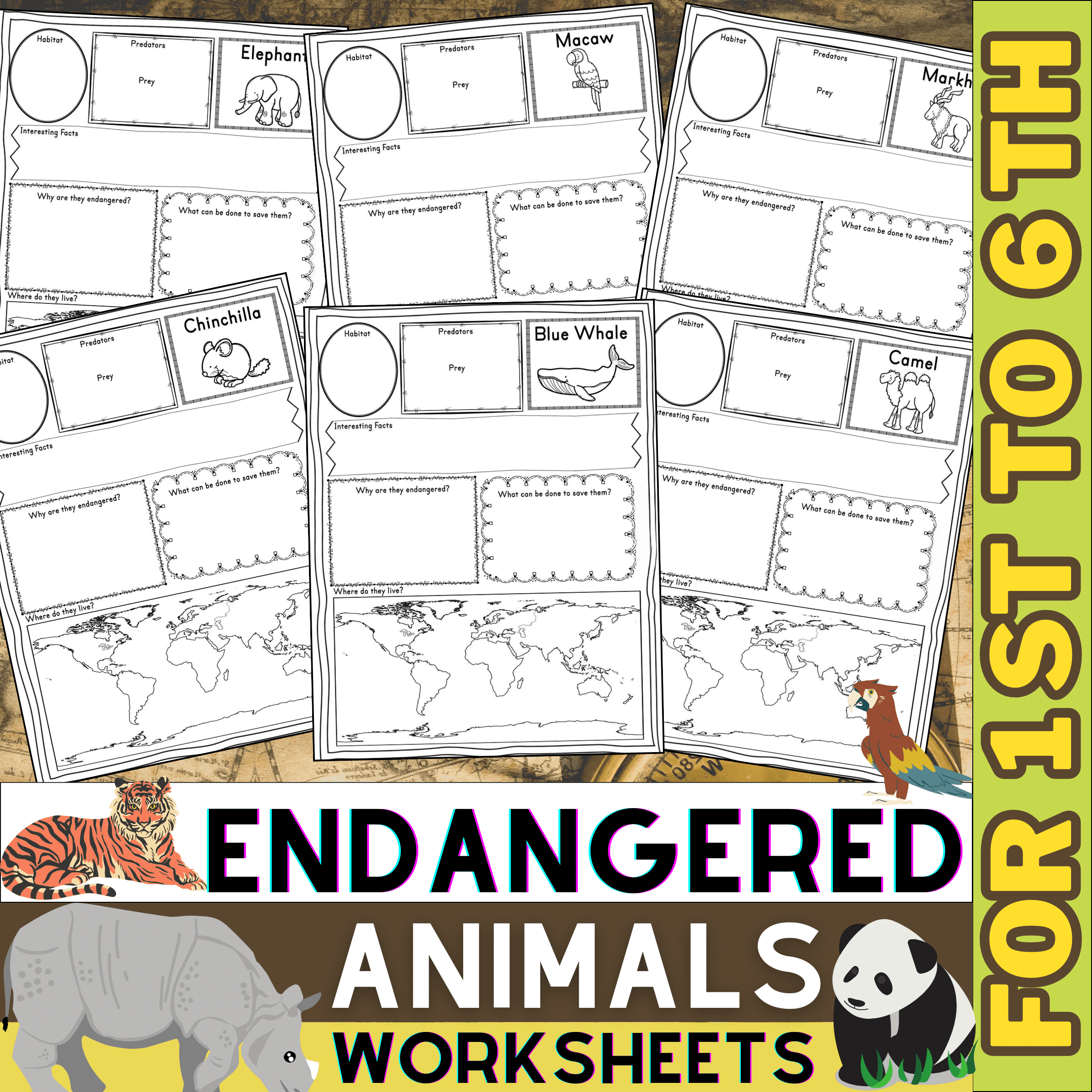 Free Printable Endangered Species Worksheets