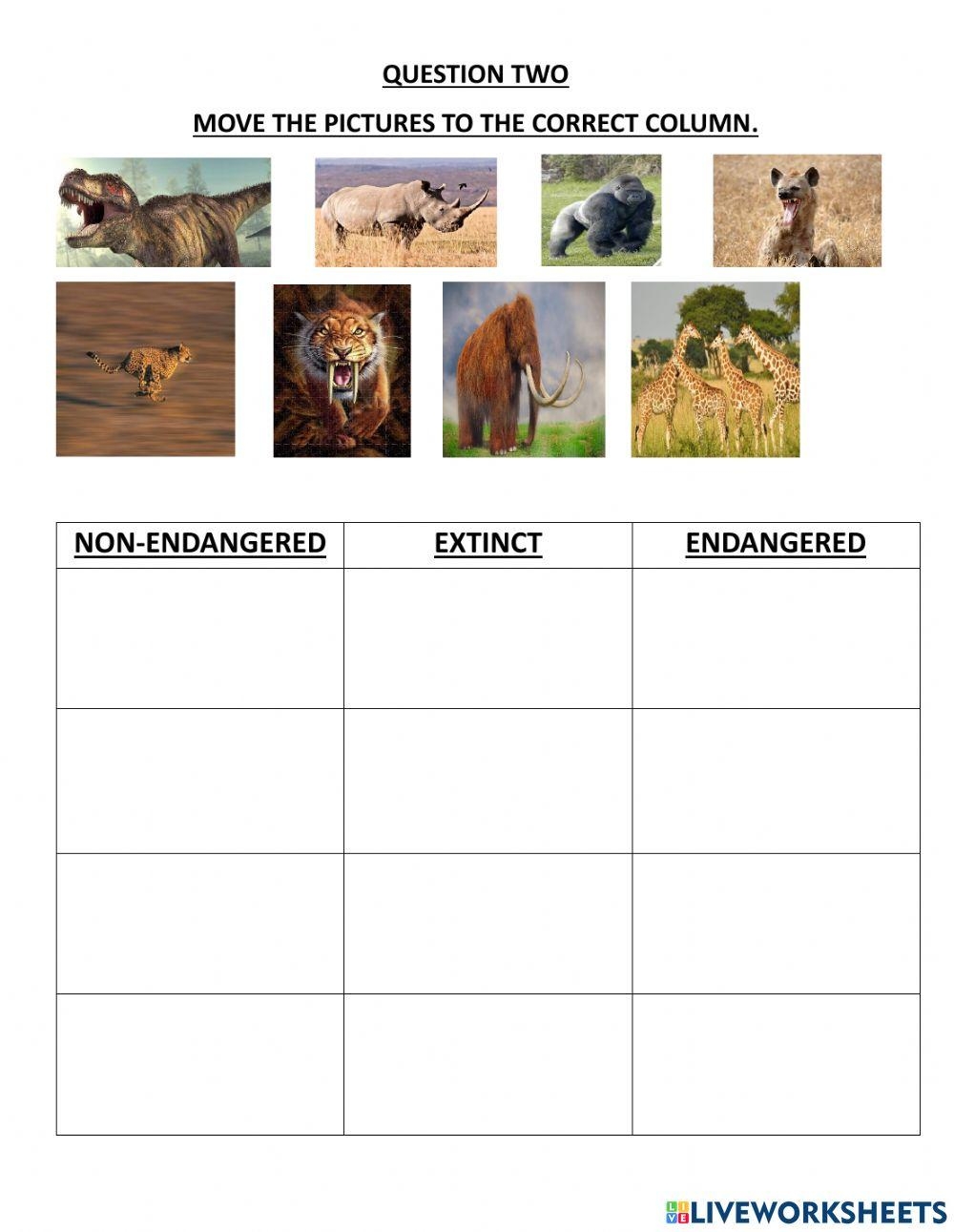 Extinct Or Endangered Animals Worksheet Live Worksheets Worksheets Library