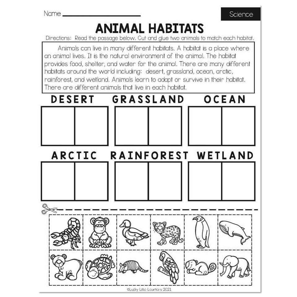 Fall Early Finishers 2nd Grade Science Animal Habitats 