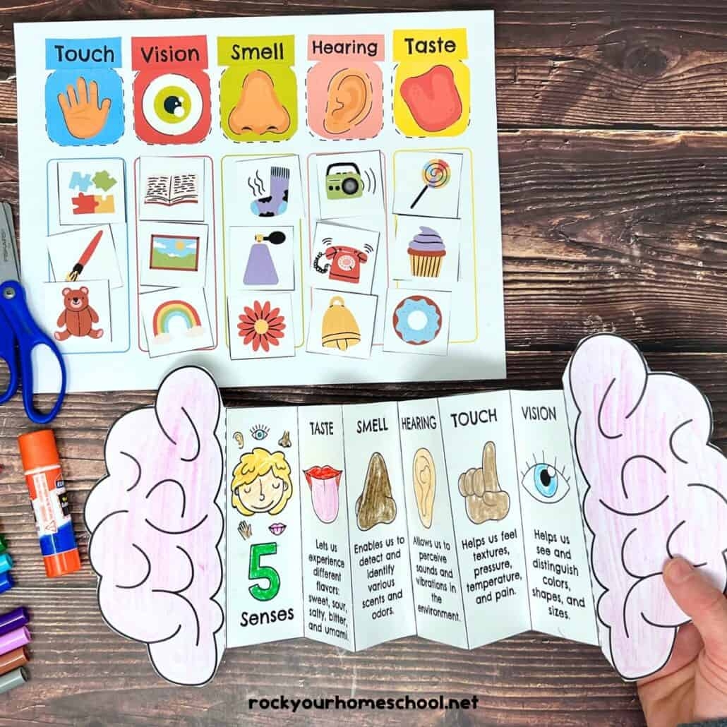 5 Senses Worksheet Preschool Free Printable