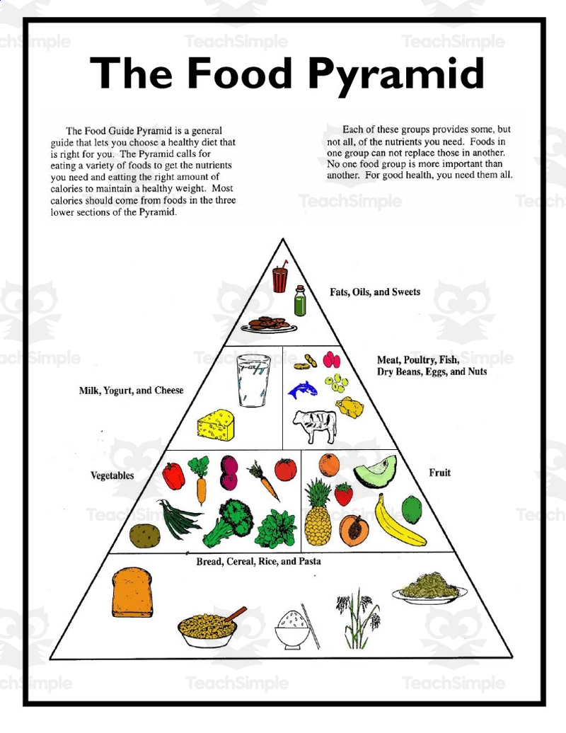 Food Pyramid Worksheet By Teach Simple