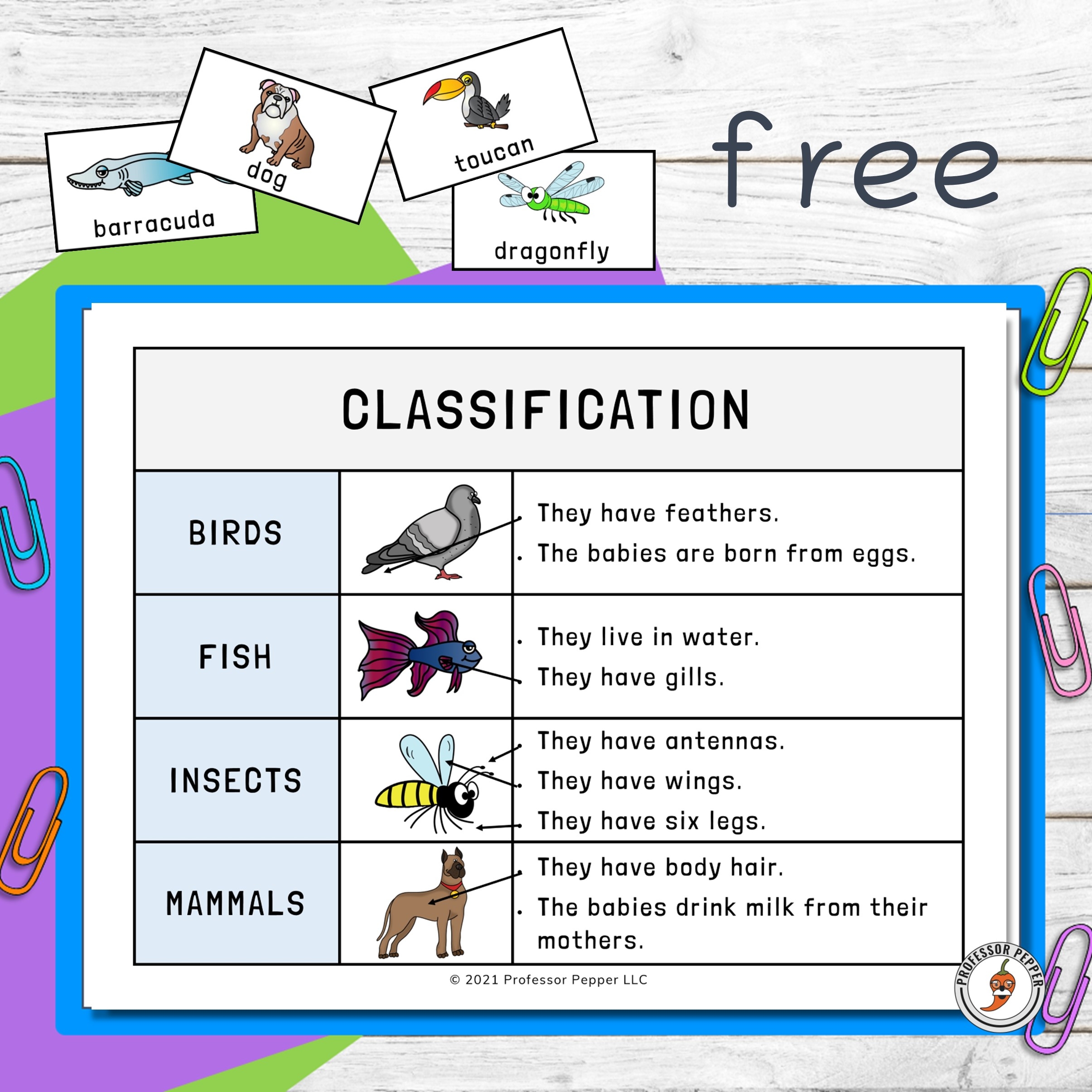 Free Printable Animal Category Worksheets