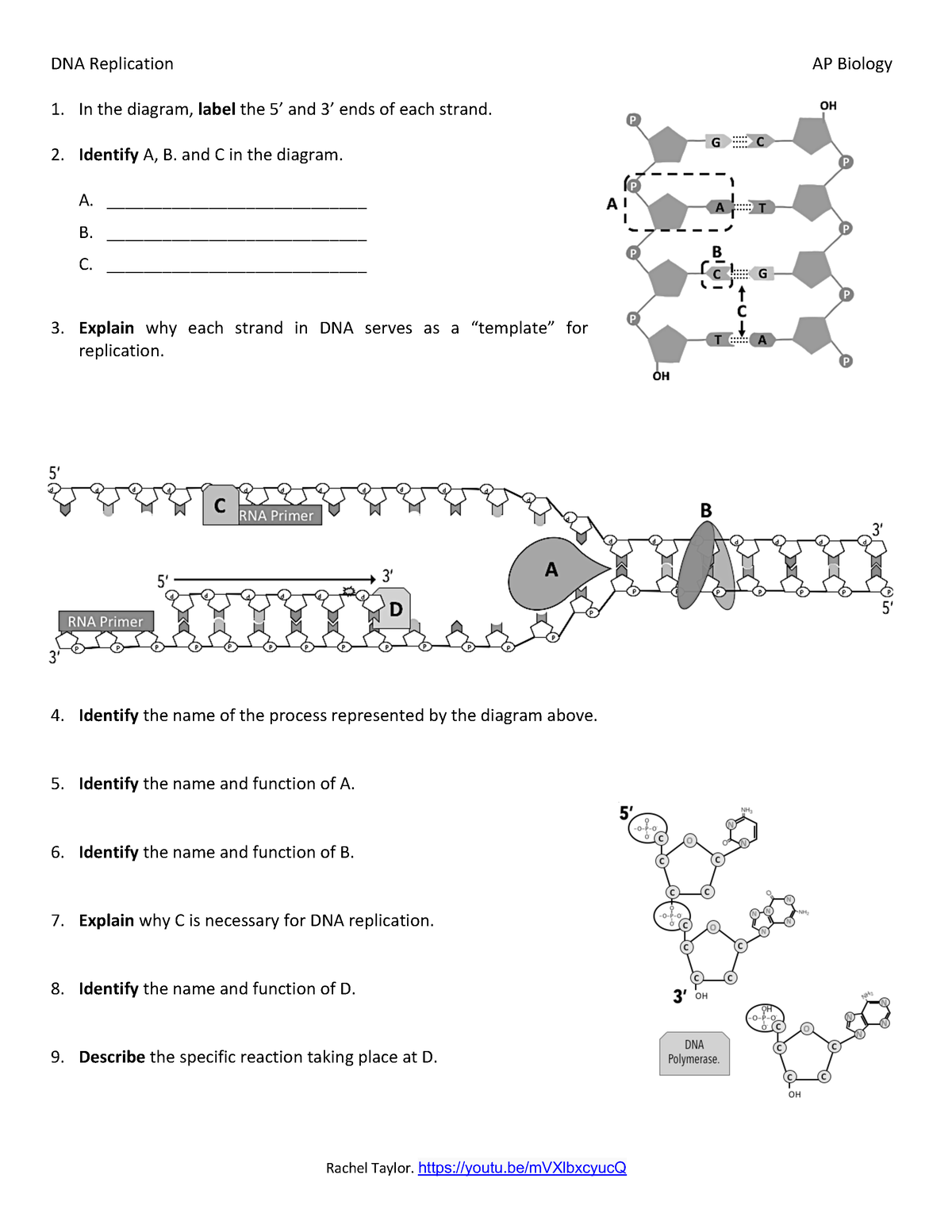 Free Ap Biology Worksheet Download Free Ap Biology Worksheet Png Images Free Worksheets On Clipart Library