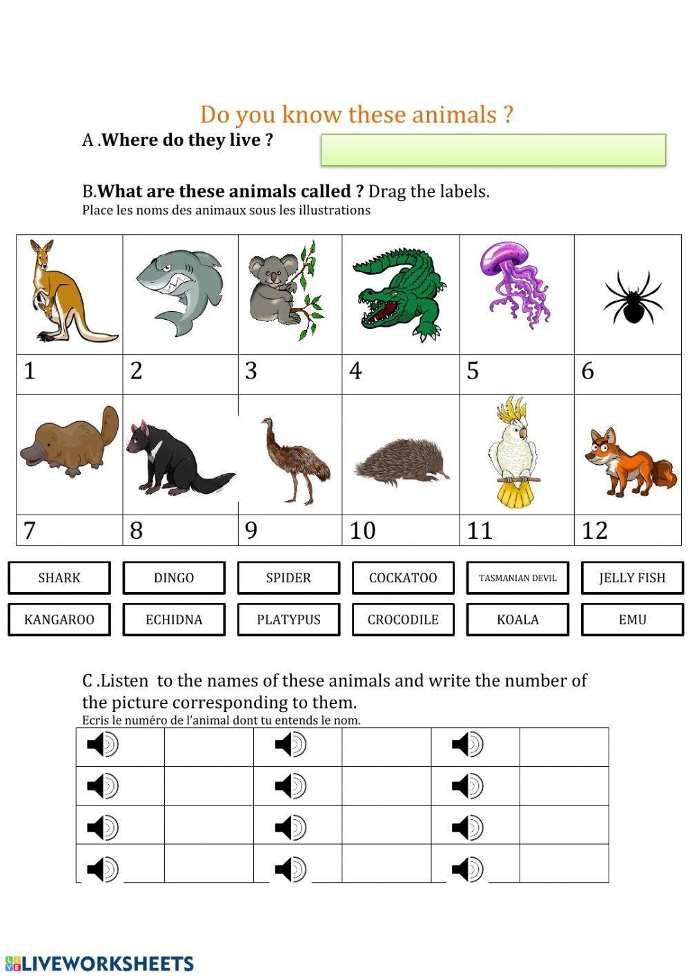 Free Australian Animals Worksheet Download Free Australian Animals Worksheet Png Images Free Worksheets On Clipart Library Free Australian Animals Worksheet Download Free Australian Animals Worksheet Png Images Free Worksheets On Clipart Library