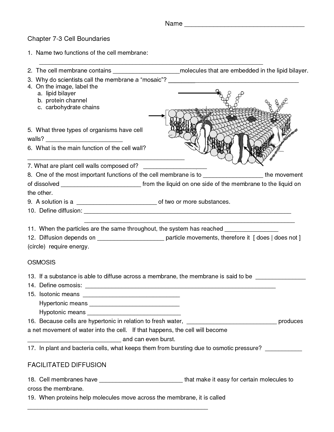 Free Biology Worksheet Download Free Biology Worksheet Png Images 