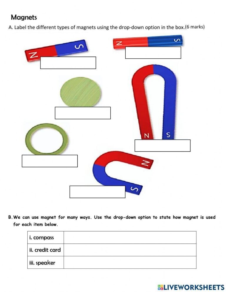 Free Magnet Worksheet Download Free Magnet Worksheet Png Images Free Worksheets On Clipart Library