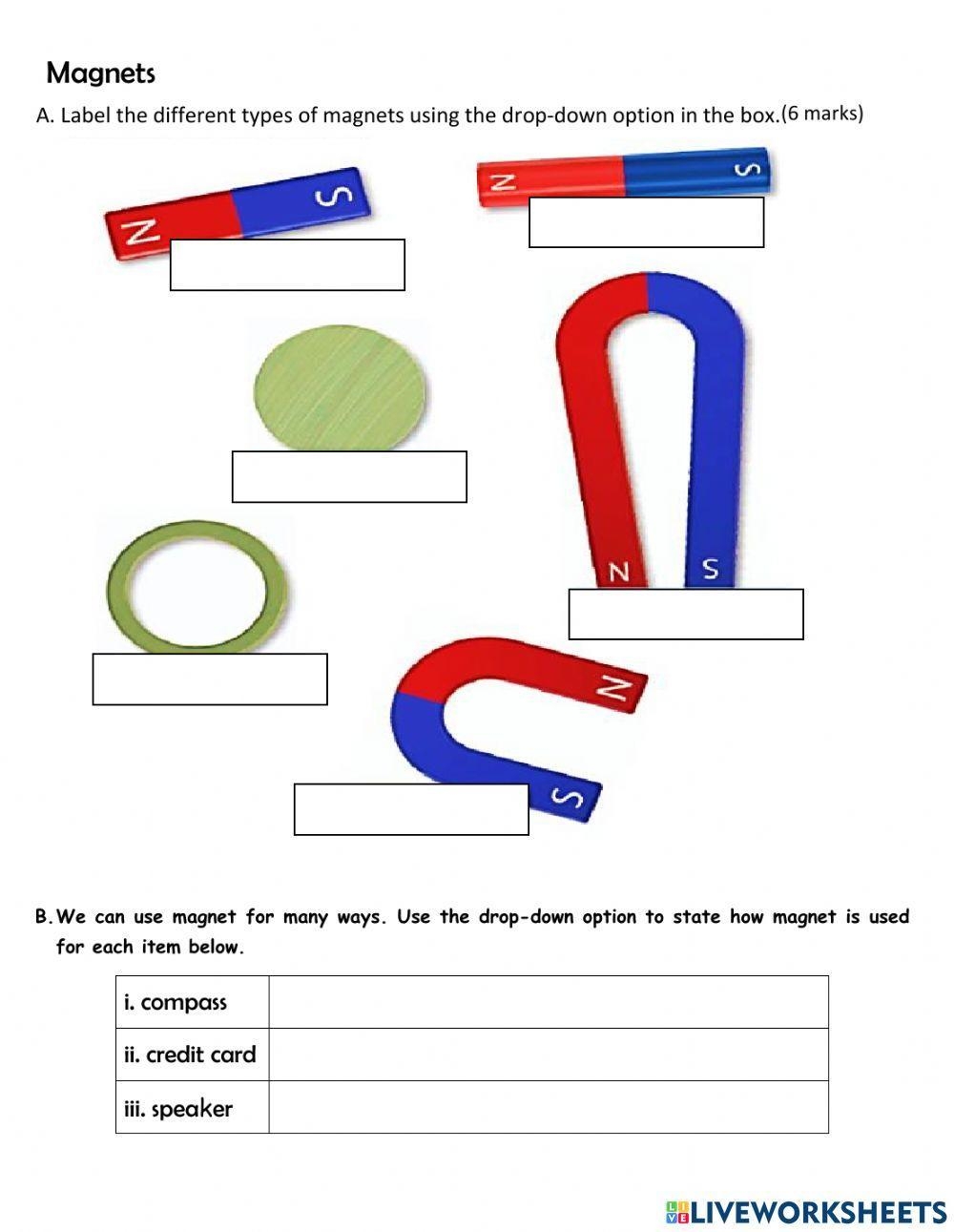 Free Magnet Worksheet Download Free Magnet Worksheet Png Images Free Worksheets On Clipart Library