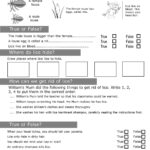 Free Personal Hygiene Worksheet Middle School Download Free 
