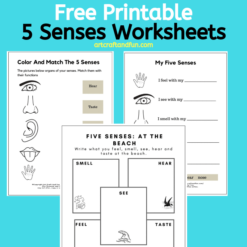 Senses Worksheet Free Printable