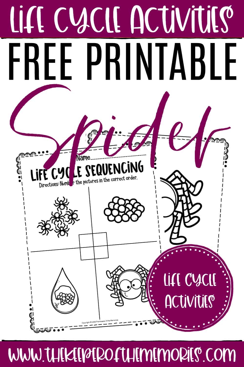 Free Printable Spider Worksheets Free Printable Spider Worksheets
