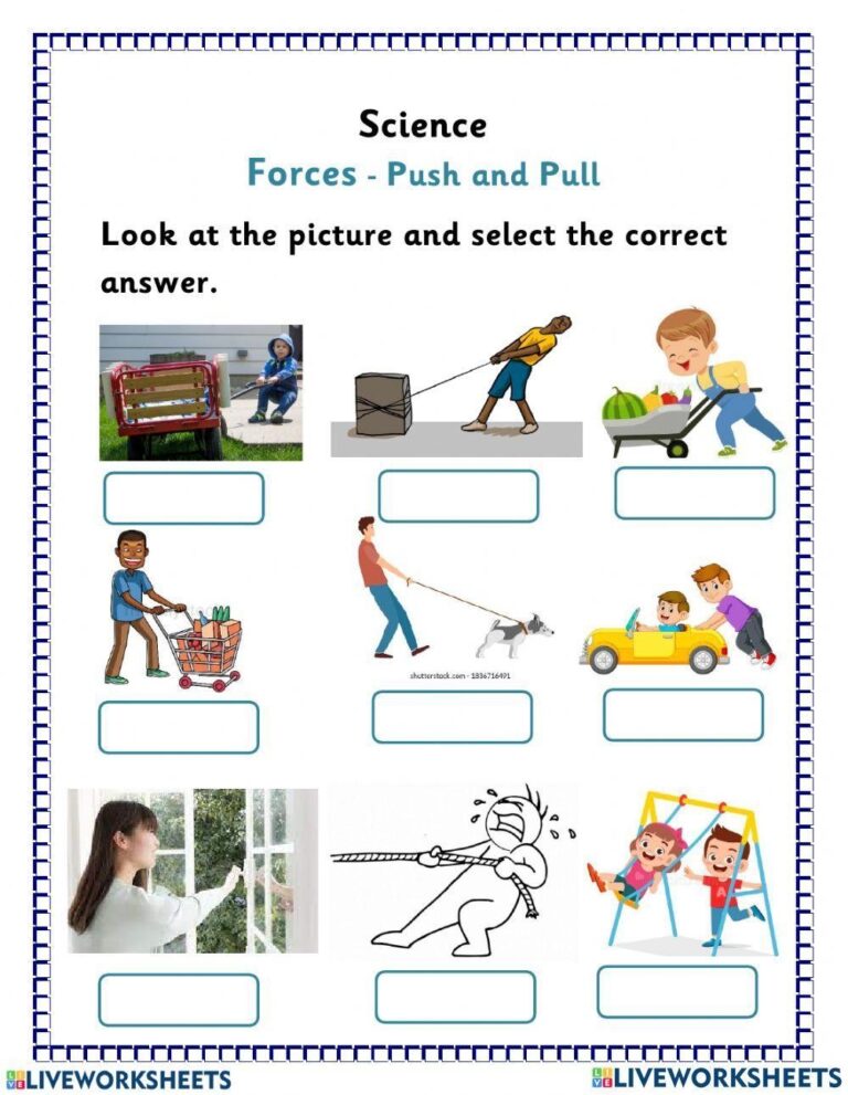 Free Push Pull Worksheet Download Free Push Pull Worksheet Png 
