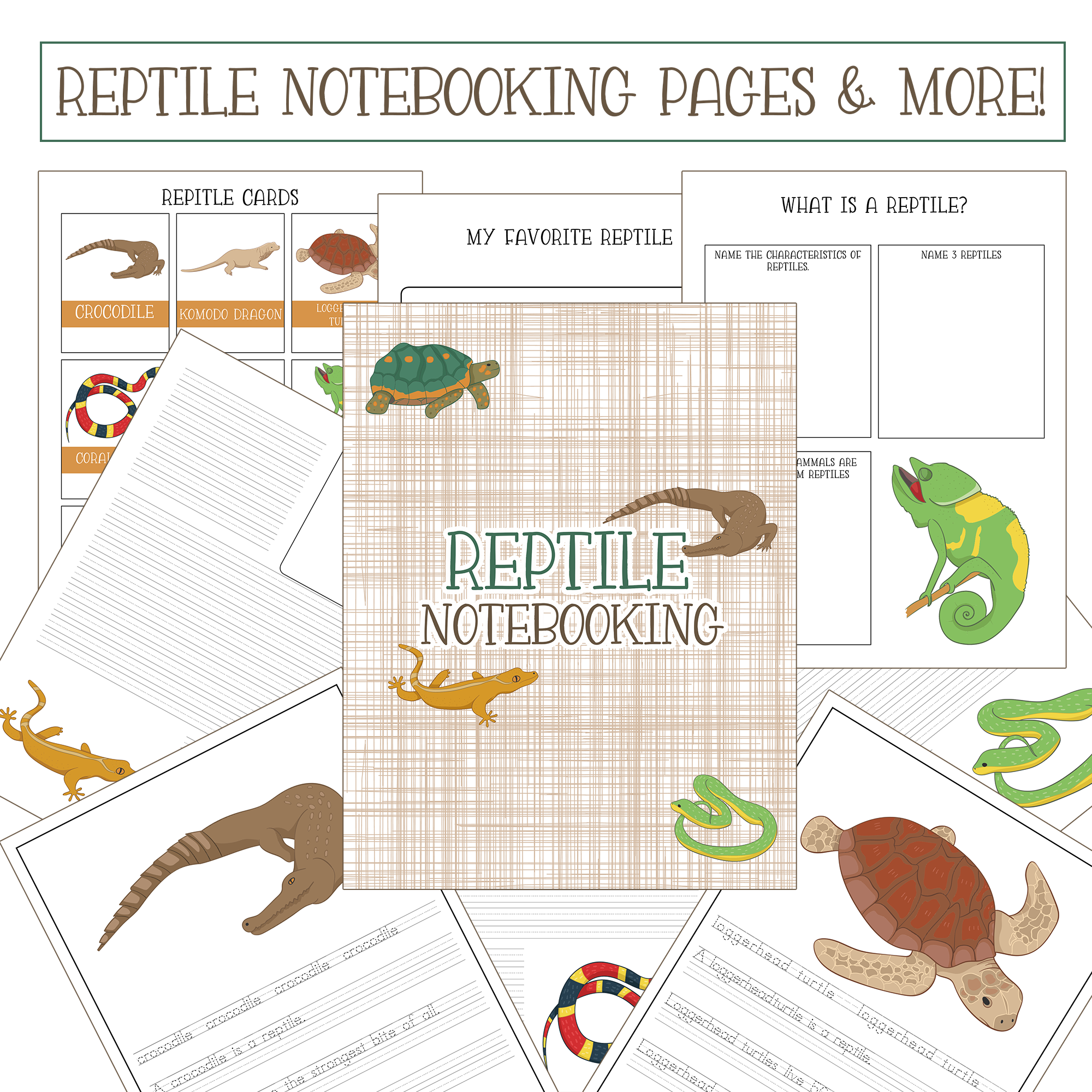 Free Reptiles Worksheets Kids Love With Printables