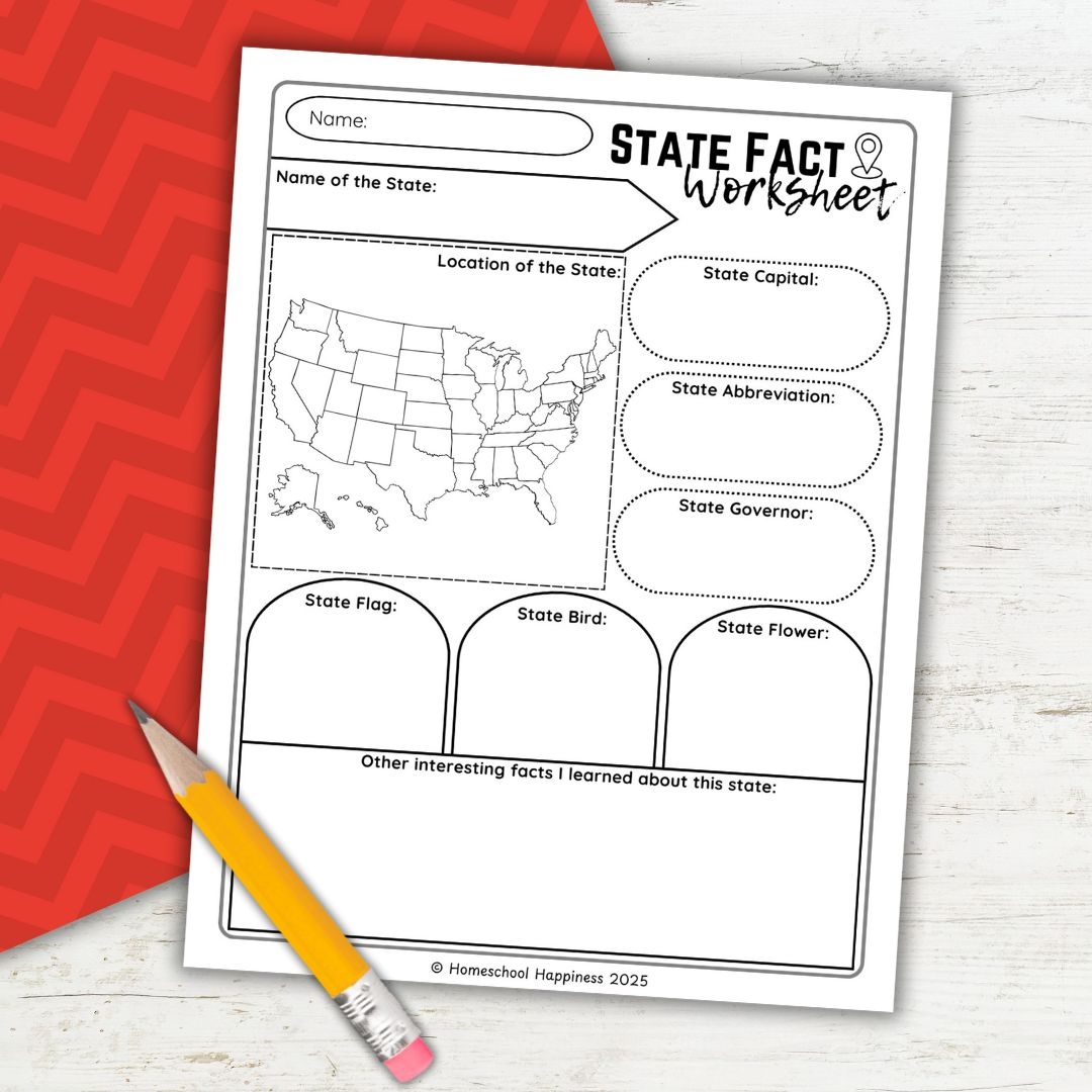 Fun U0026 Educational State Facts Worksheet For Kids