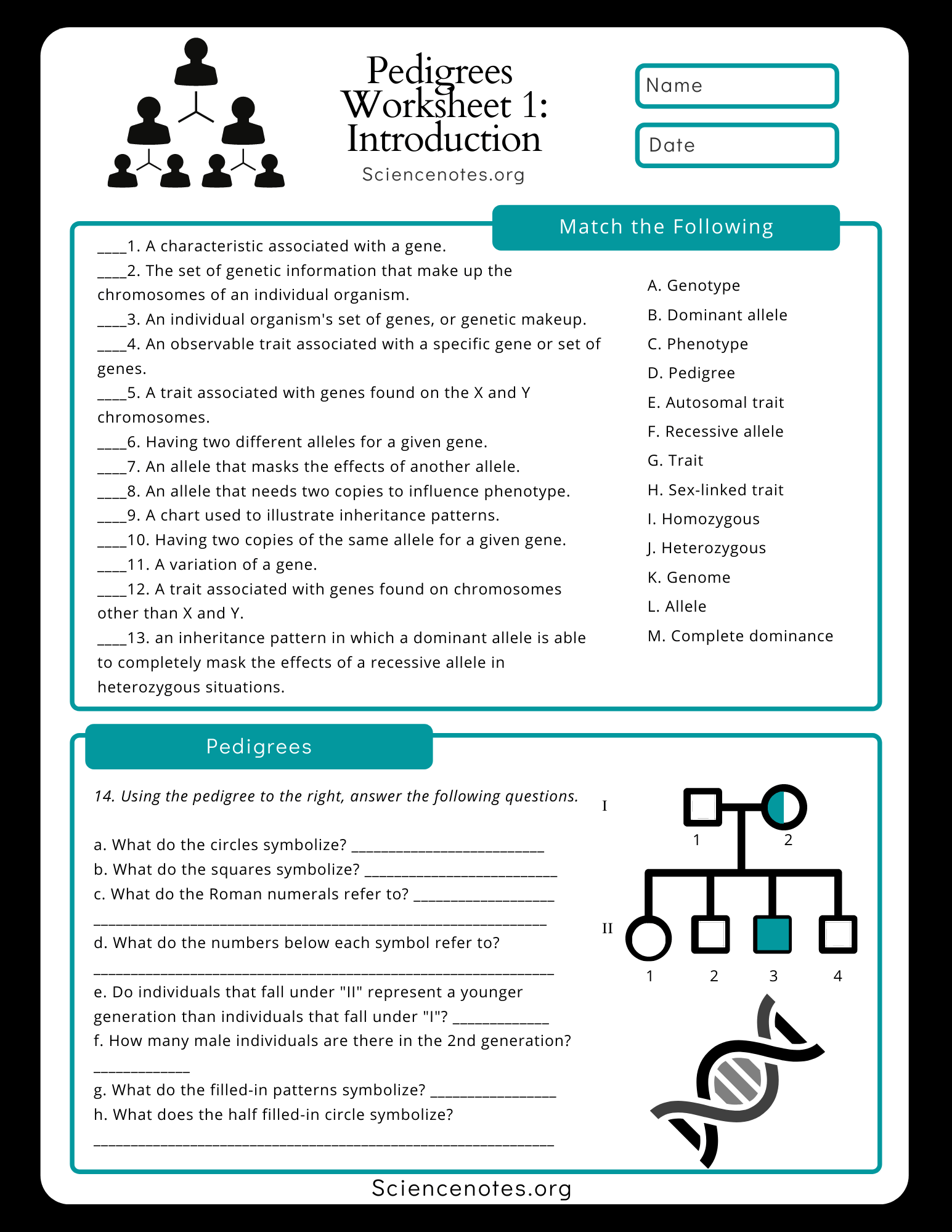 Genetics Worksheets And Printables Genetics Worksheets And Printables