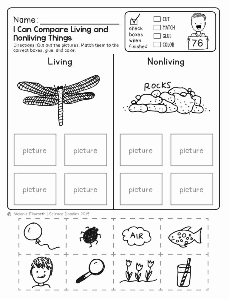 Grade 1 Science Worksheets K5 Learning Worksheets Library