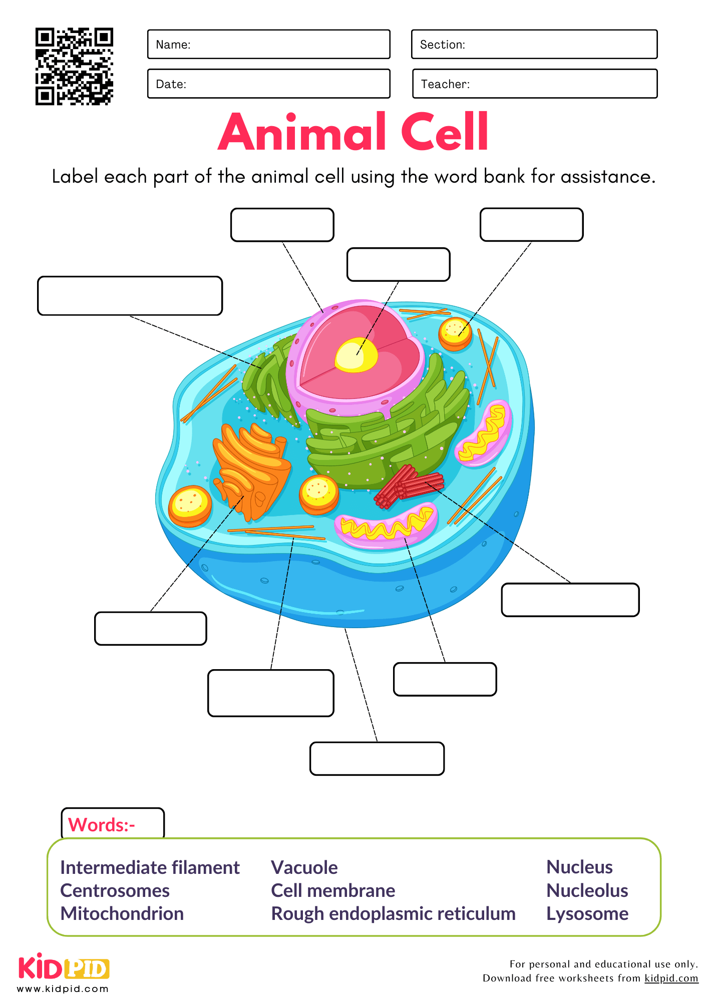 Label Parts Of Animal Cell Worksheet Kidpid