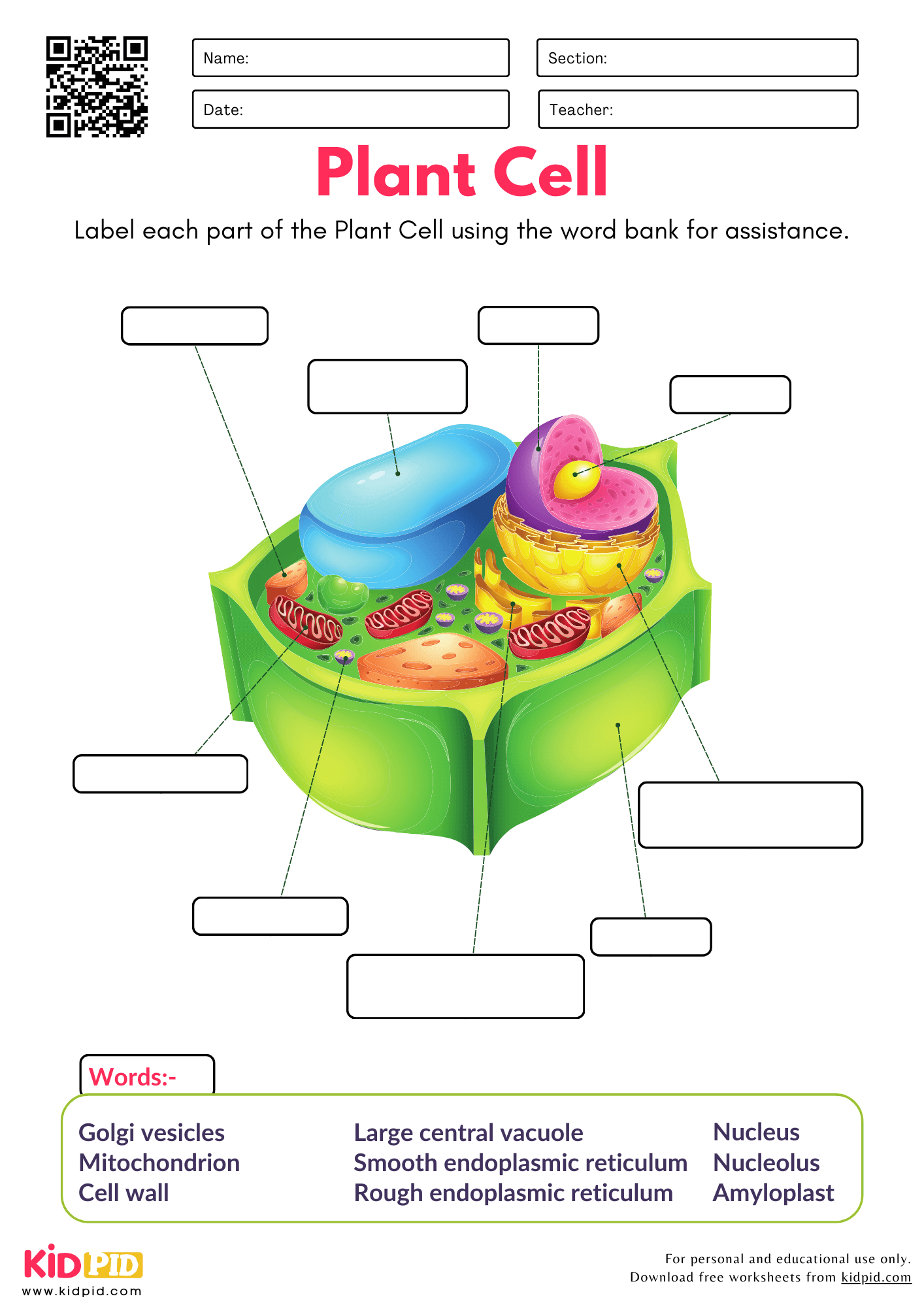 Free Printable Worksheets On Labeling Plants