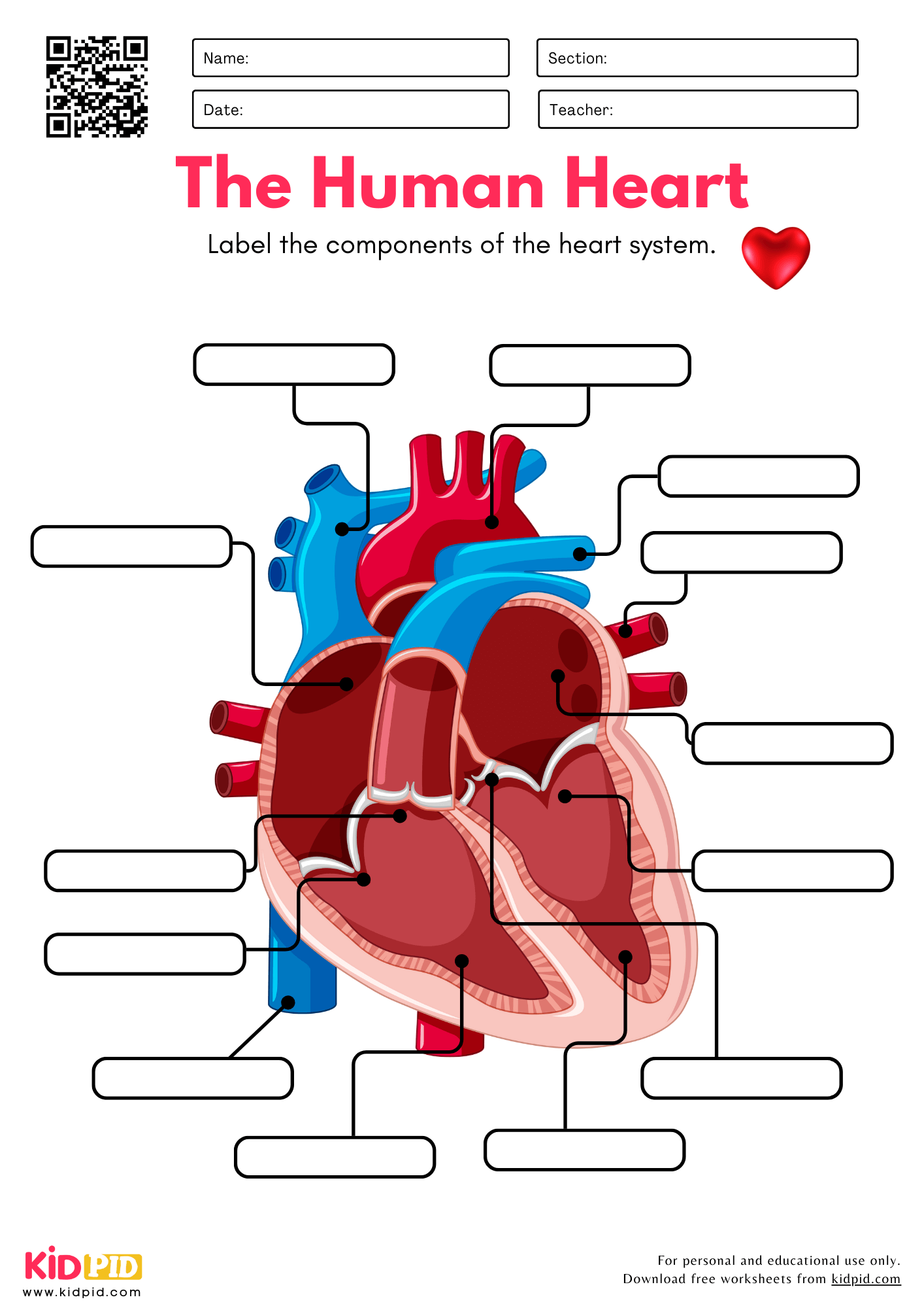 Label The Parts Of Human Heart Worksheet Kidpid Label The Parts Of Human Heart Worksheet Kidpid