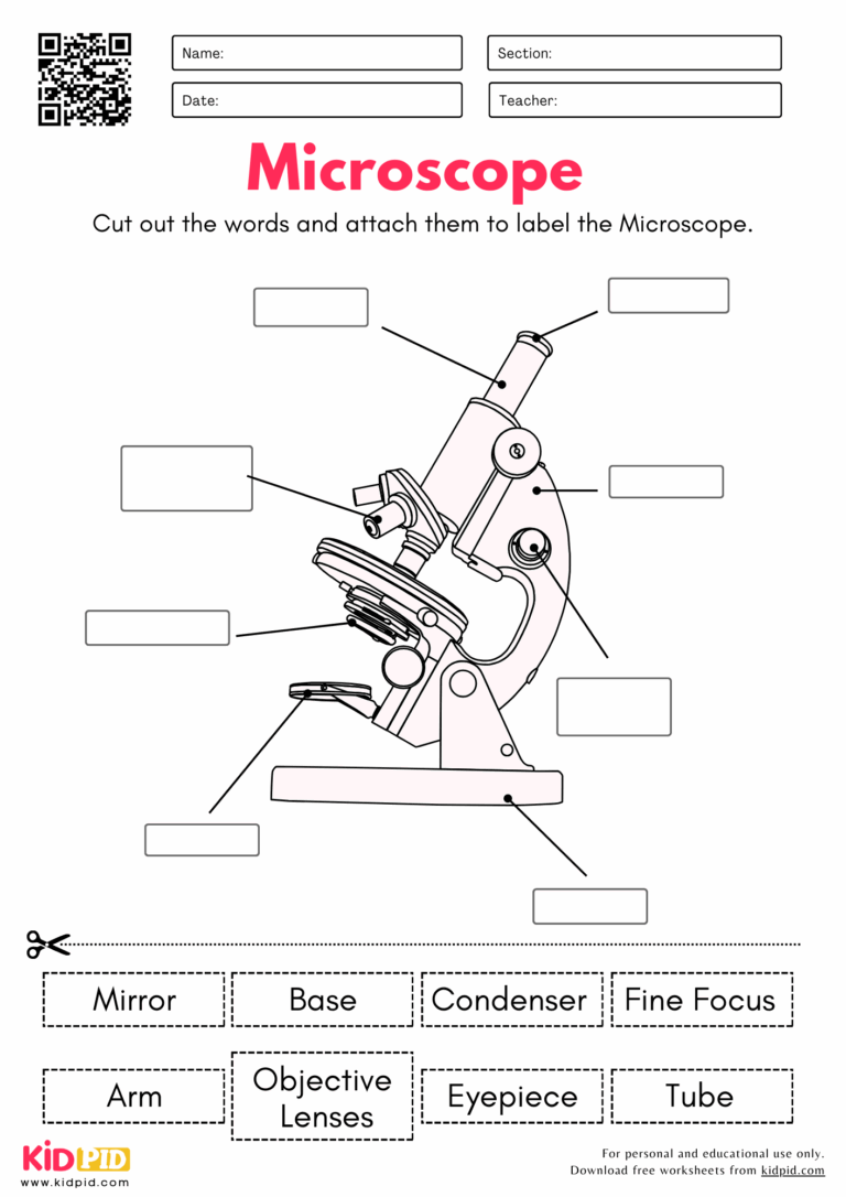Label The Parts Of Microscope Science Worksheet Kidpid