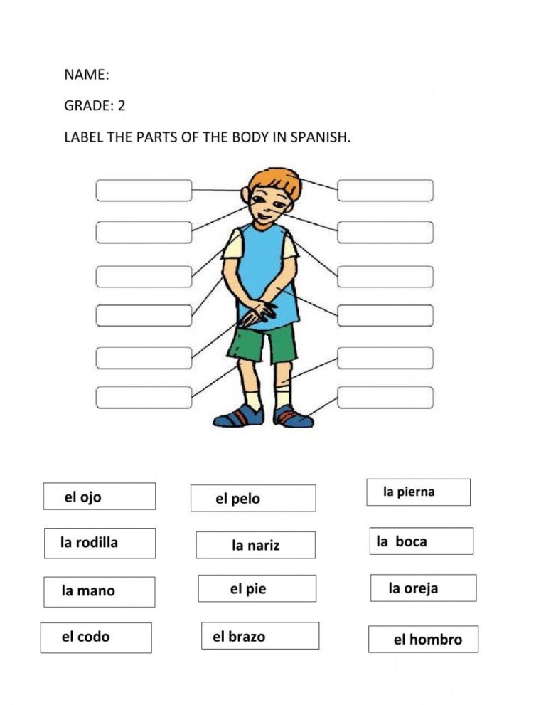 Label The Parts Of The Body In Spanish Online Exercise For Live 