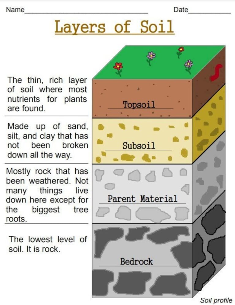 Layers Of Soil Printable Worksheets Digital Download Earth Science Pages Etsy